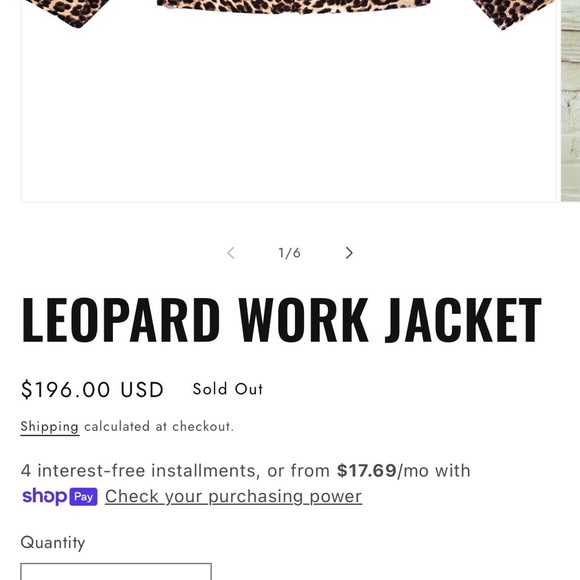 Leopard Print Utility/Work Jacket - Picture 5 of 6